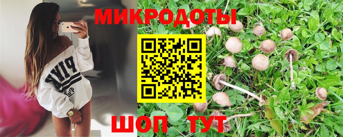 Галлюциногенные грибы Psilocybine cubensis  Вход с VPN  Галлюциногенные грибы Magic Shrooms  Лабытнанги 