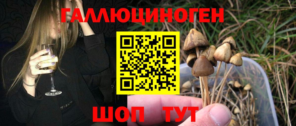 Псилоцибиновые грибы Magic Shrooms Лабытнанги